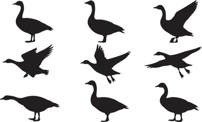 Fototapeta premium Goose Silhouette Vector Illustration Set for Wildlife and Nature Theme