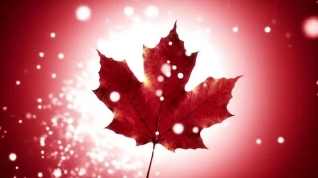 A maple leaf on a red background with bokeh and a bright light shining behind the leaf shape