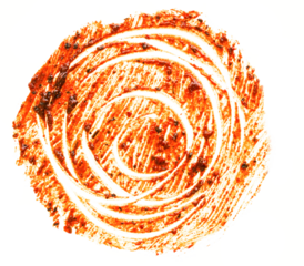 A circular design with swirling lines, resembling a natural motif or artistic representation.