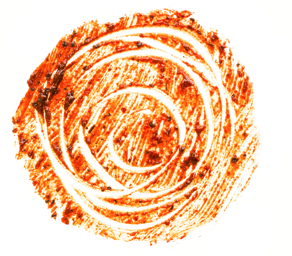 A circular design with swirling lines, resembling a natural motif or artistic representation.