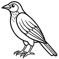 Elegant Weaver Bird Outline Vector