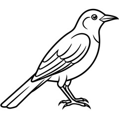 Elegant Weaver Bird Outline Vector