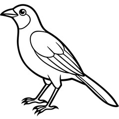 Elegant Weaver Bird Outline Vector