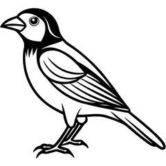 Elegant Weaver Bird Outline Vector