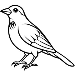 Elegant Weaver Bird Outline Vector