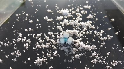 Water drops on window glass with winter holiday snowflake decoration pattern 4k Abstract background video - Powered by Adobe