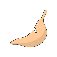 stomach disease illustration