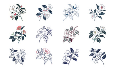 Bundle A Camellia Flower With Leaves Elegant Line Drawin A Camellia Flower Wit