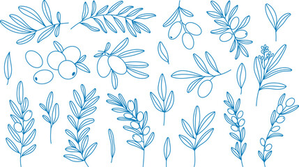 Mediterranean outline blue olive branch set