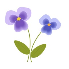 Pansy flower illustration flat design