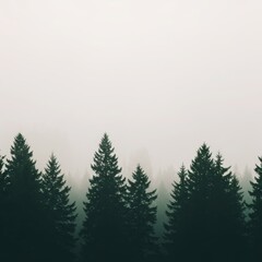 Fototapeta premium Simple Forest Wall Art