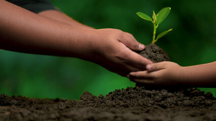 Planting trees, loving the environment and protecting nature Nourishing the plants World Environment Day To help the world look beautiful