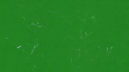 Emerald Green Texture: A captivating green backdrop of abstract patterns provides a versatile foundation for designs. Evokes a sense of natural aesthetic and adaptable for various creative projects.