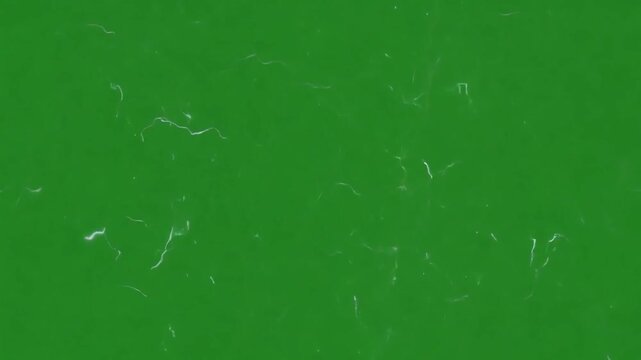 Emerald Green Texture: A captivating green backdrop of abstract patterns provides a versatile foundation for designs. Evokes a sense of natural aesthetic and adaptable for various creative projects.