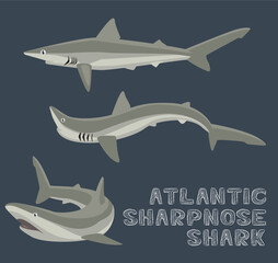 Naklejka premium Atlantic Sharpnose Shark Cartoon Vector Illustration