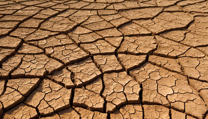 Close-up of weathered, brown, cracked soil, softened by the sun's warm glow