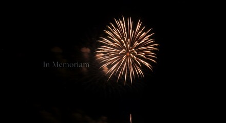 Golden Chrysanthemum Fireworks Display: In Memoriam