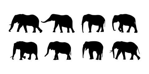 Collection cute wild animal isolated vector silhouettes