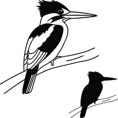 Fototapeta premium Kingfisher Bird with Open Wings Vector Illustration 