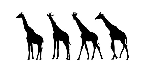 Collection cute wild animal isolated vector silhouettes