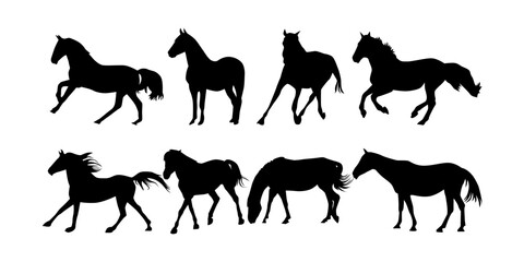 Collection cute wild animal isolated vector silhouettes