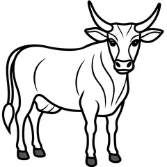 Minimalist Zebu Line Art Illustration
