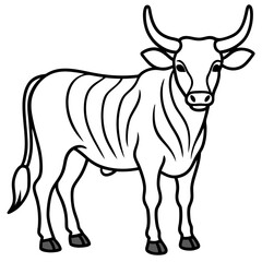 Minimalist Zebu Line Art Illustration
