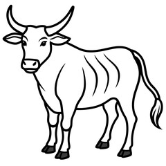Minimalist Zebu Line Art Illustration