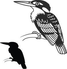 Kingfisher Silhouette in Details Vector Illustration  
