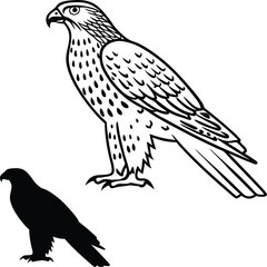 Flying Hawk Front View Vector Illustration  
