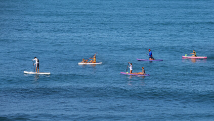 Company of young people  riding  on sup surfing in the sea at summer day
