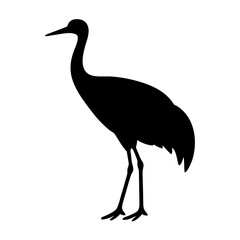 Elegant silhouette of a Sandhill Crane standing tall against a white backdrop