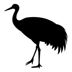 Elegant Silhouette of a Sandhill Crane Standing Gracefully Against a White Backdrop