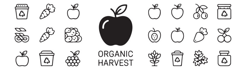 Fruits, berries icon set. Vector glyph pictograms of apple, banana, orange lemon, grape, pineapple, coconut, cherry, strawberry black silhouette illustration. Healthy fresh organic nutrition.