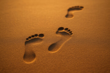 Footprints creating a path on golden sand at sunset