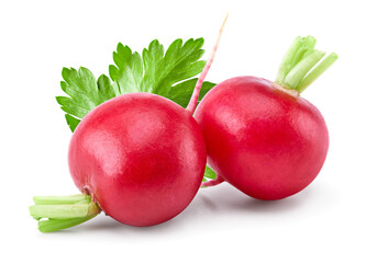 fresh radish isolated on white background. clipping path