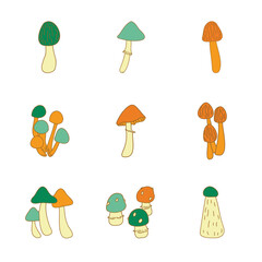 A vector hand-drawn set of mushrooms. Doodle illustration with toadstool and fly agaric.