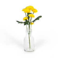 A clear glass bottle holding vibrant yellow flowers, showcasing a simple yet elegant floral arrangement.