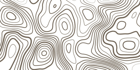 White Minimal Topography Lines Design with Smooth Curved Elevation Mapping Pattern.