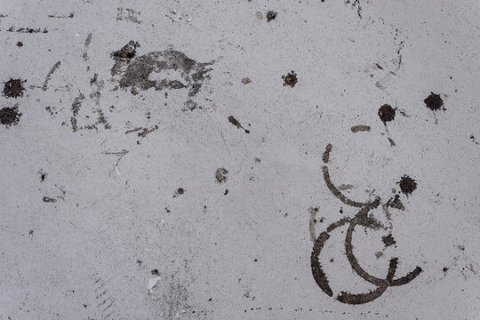 Bottle Ring Stains on Painted Plaster