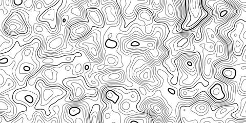 Elegant Abstract Contour Design in High Contrast Black and White Topography Style.