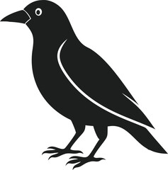 Obraz premium crow on a white background