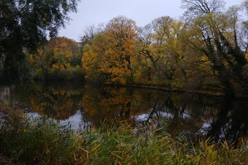 Autumn trees reflected in water