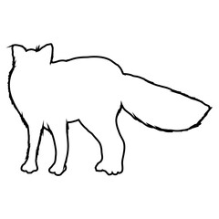 fox wolf Icon line_1
