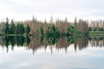 A foggy morning by a lake