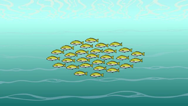 School Of Fish Swimming In The Ocean Isolated