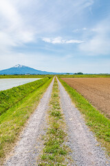 春の農道と岩木山