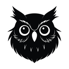 black and white owl