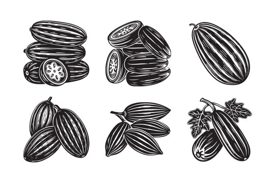  black silhouette of pointed gourd bundle on the white background