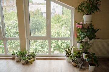 Interior with indoor plants and large floor-to-ceiling windows.
